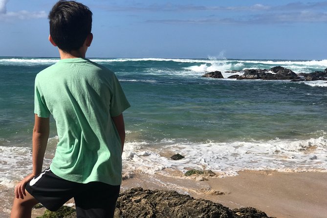 Oahu Unveiled: Tailored Luxury Private Island Tour - Subgroup 1: Tour Guide Excellence