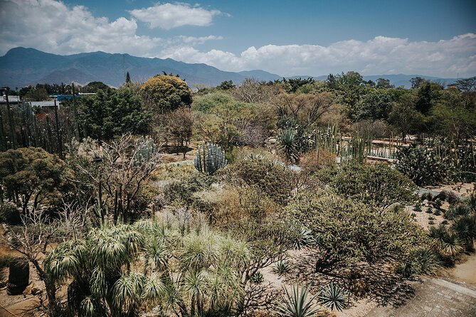Oaxaca Walking Tour - Markets, Textile Museum & Lunch - Additional Information and Resources