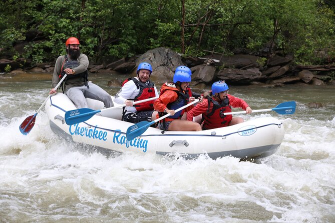Ocoee River Middle Whitewater Rafting Trip - Good To Know