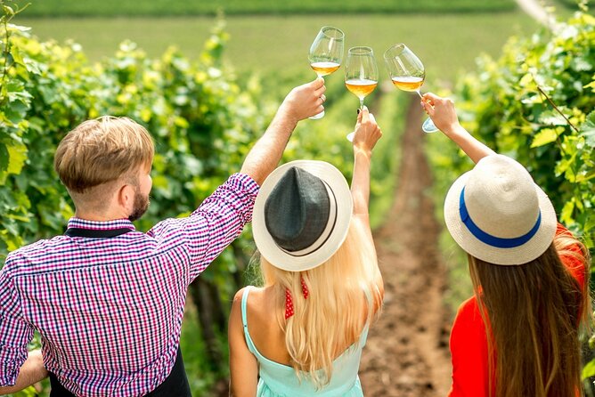 Okanagan Valley: Small-Group Lake Country Winery Tour  – Kelowna & Okanagan Valley