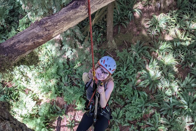 Old-Growth Tree Climbing at Silver Falls State Park - Old-Growth Tree Species at Silver Falls State Park