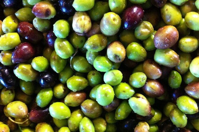 Olive Mill, Winery - Raki Distillery, Tour With Tastings and Meze - Common Questions