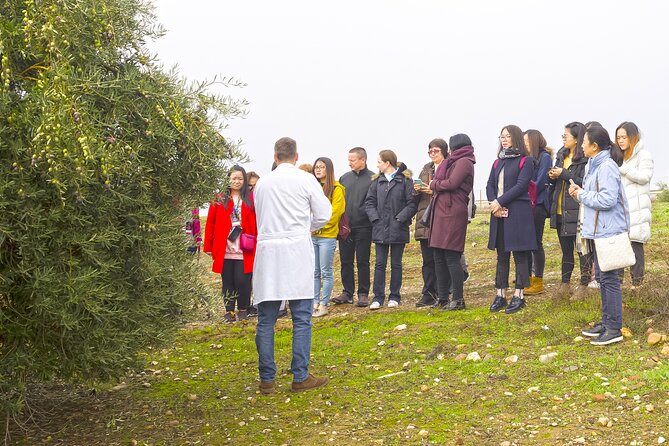 Olive Oil Mill Visit With Extra-Virgin Olive Oil Tasting in Jaén - Booking Confirmation and Accessibility