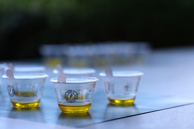 Olive Oil Tasting at the Mykonian Farm - The Sum Up