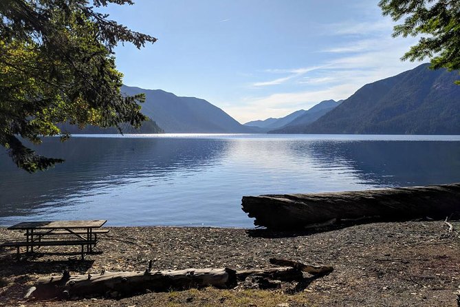 Olympic National Park Luxury Small-Group Day Tour With Lunch - Positive Feedback and Recommendations