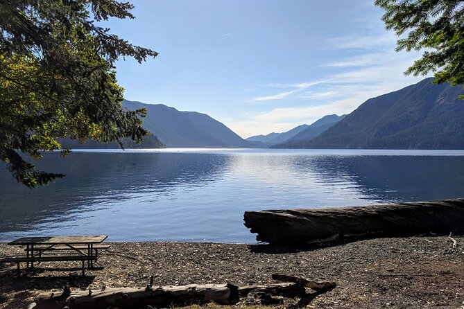 Olympic National Park - Private Luxury Day Tour With Lunch - The Sum Up