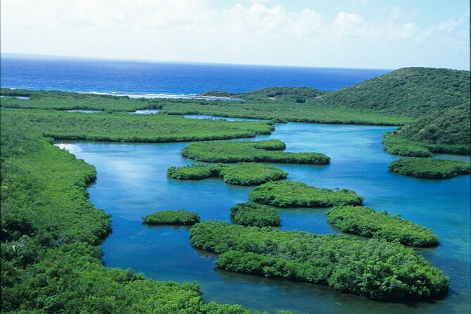 On Your Own: Kayak in the Mangrove Lagoon - Common Questions