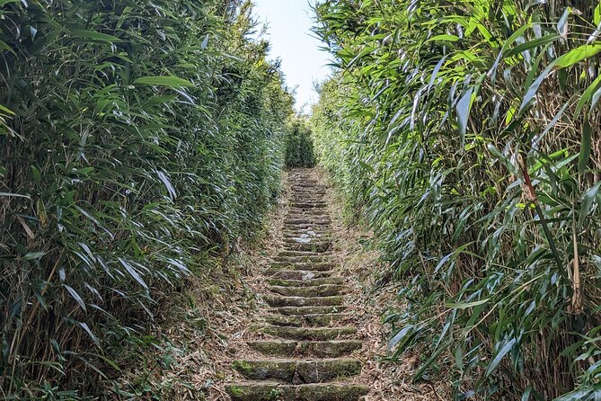 One Day Hike Around Yangmingshan - Tips for a Safe and Enjoyable Hiking Experience