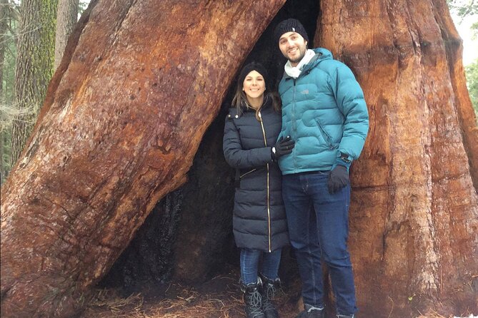 One Day In Yosemite Private Tour:Yosemite Valley, Glacier Point & Giant Sequoias - The Sum Up