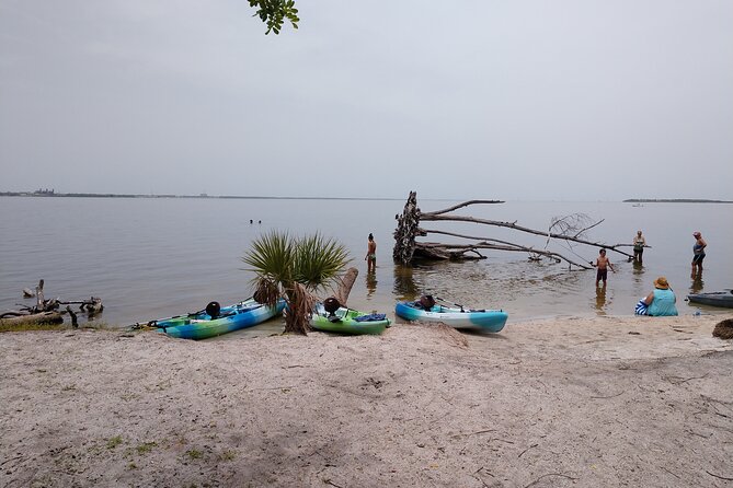 One Tandem Kayak Rental for 2 Hours With Manatee & Dolphin Sightings! - The Sum Up