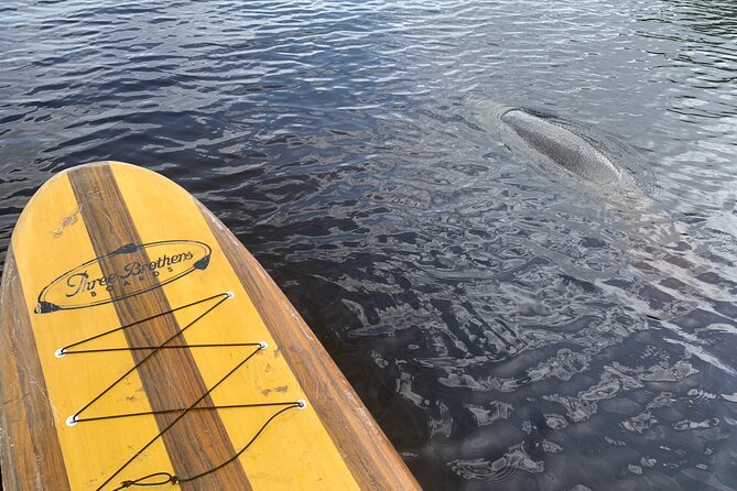 Orlando Manatee and Olde Florida History Adventure Tour - Customer Reviews