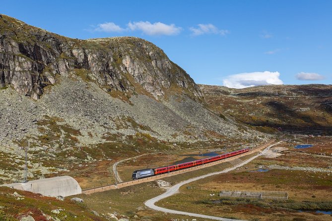 Oslo To Sognefjord Private Full Day Roundtrip Including Flam Railway - The Sum Up