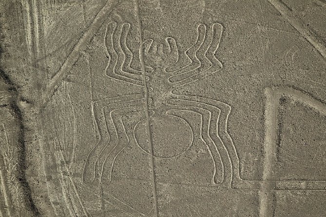 Overflight of the Nazca Lines Tour - Important Considerations and Guidelines