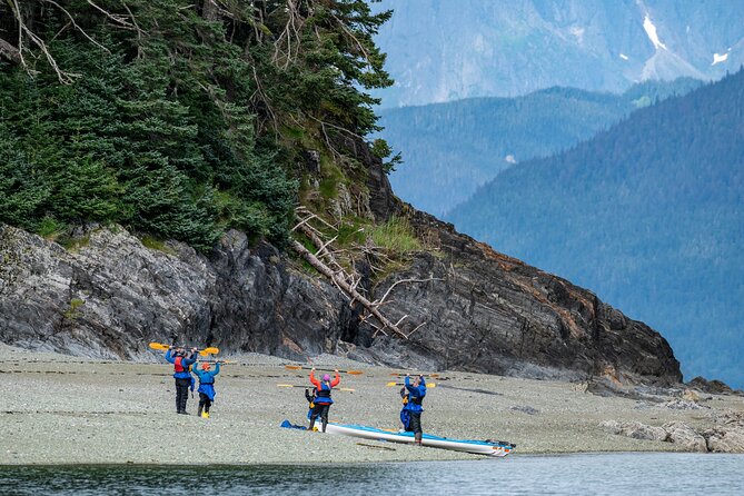 Paddle With Whales! Kayak Adventure - Adventure Highlights