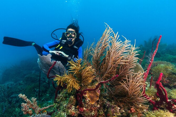 PADI Discover Scuba Diving Course in Bayahibe - End Point
