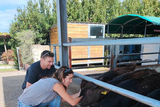 Paestum Traditions, Buffaloes, Ceramics, Temples - Cultural Festivals and Traditions