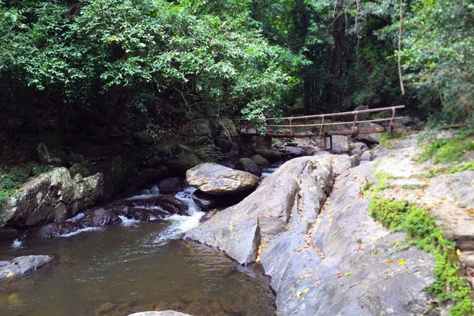 Pala U Waterfall in Kaeng Krachan Jungle With Private Guide From Hua Hin - Reviews: Enjoyable Walk, Amazing Nature, Quality Lunch, and Tips for a Better Experience