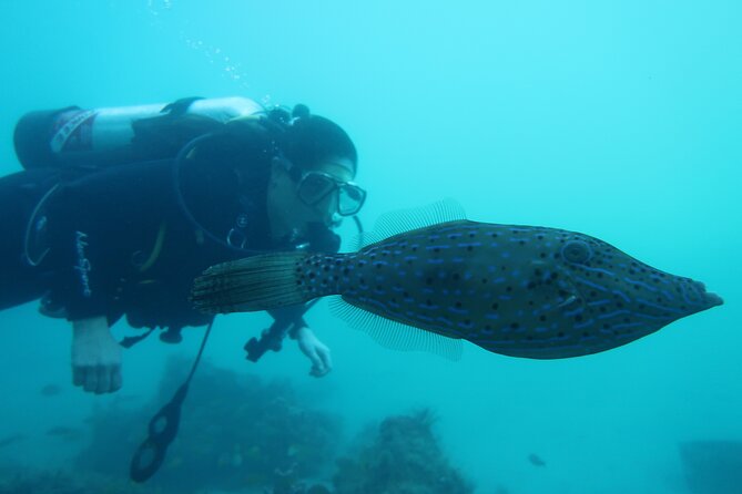 Palm Beach Private 1-Day Scuba Lesson  - West Palm Beach - Cancellation Policy