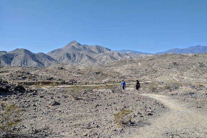 Palm Springs Hike to an Oasis and Amazing Desert Views - Common Questions
