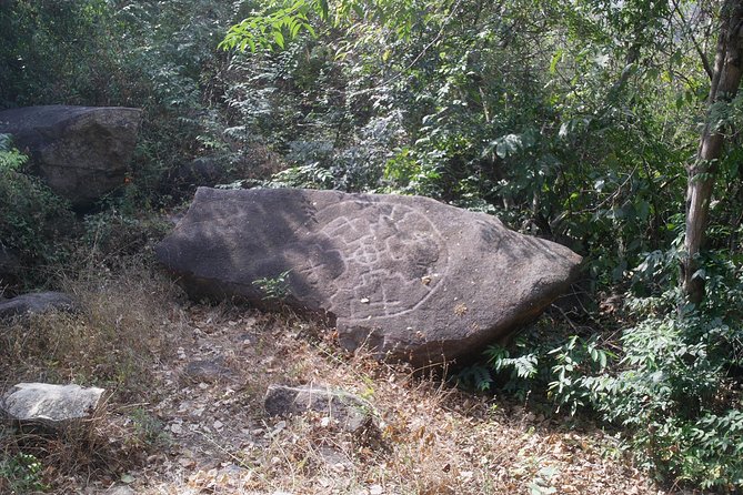 Palma Sola Petroglyphs Archaeological & City Market W/Lunch - Reviews and Photos