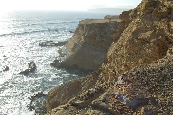 Paracas Full Day: Islas Ballestas, National Park and Sandboarding in Paracas - Tour Highlights
