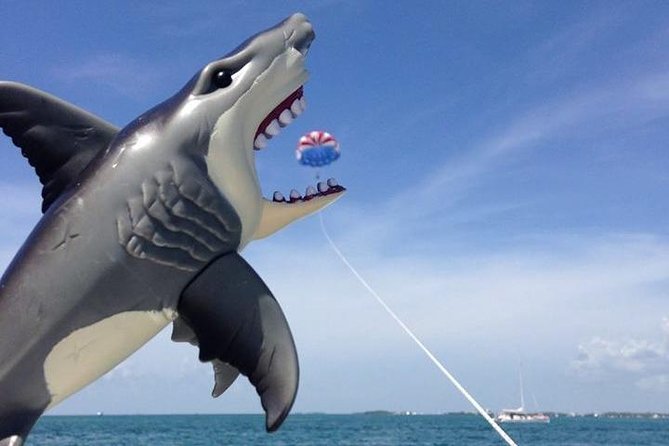 Parasailing Over the Historic Key West Seaport - Common Questions