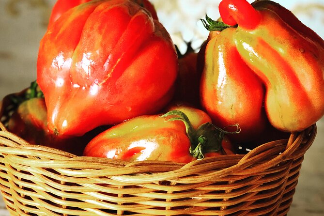 Pasta and Pizza Cooking Class in Cortona - Cancellation Policy