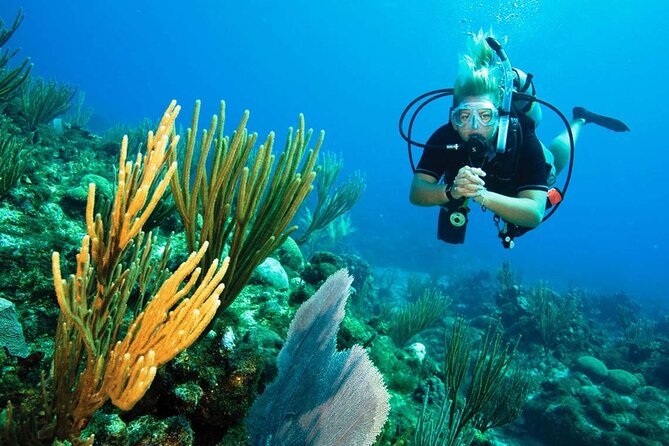 Pattaya PADI Scuba Diving Two Exciting Try Dives With PADI Instructor in Pattaya - Weather Dependencies and Alternatives