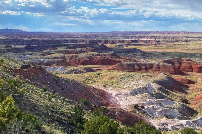 Petrified Forest National Park Self-Guided Driving Audio Tour - Traveler Photos