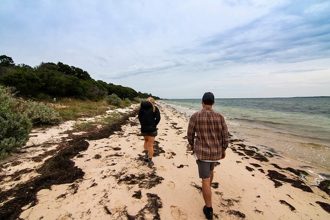 Phillip Island and French Island Wildlife Expedition - Common Questions
