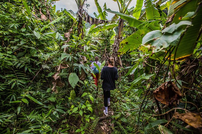 Phong Nha - Ke Bang 4-Day Private Tour - Pricing and Guarantee