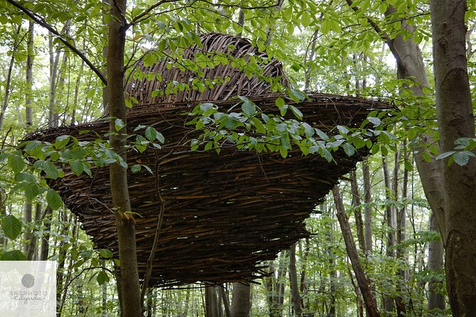 Photo Tour and Artworks in the Capriasca Redde Wood - Pricing and Terms