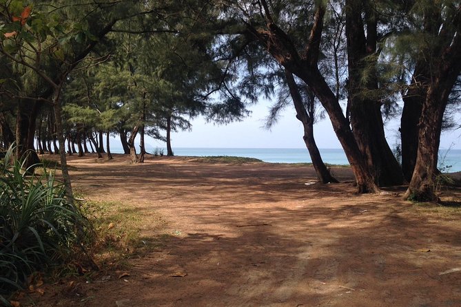 Phuket Horse Riding Club - Directions