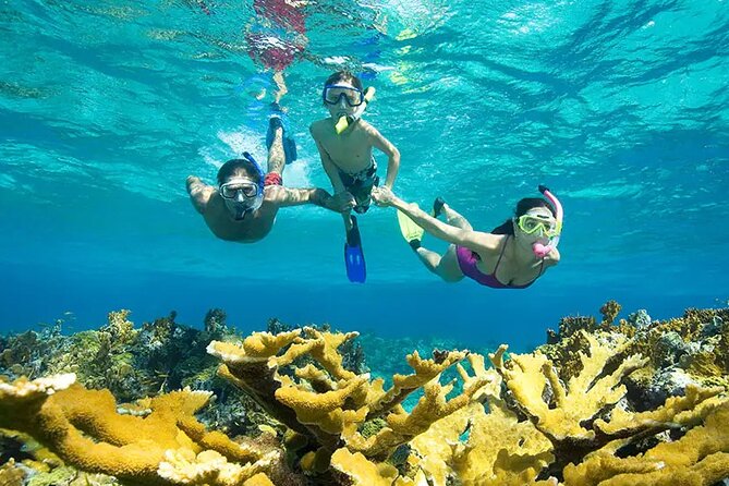 Phuket Similan Island Andaman Ocean Tour by Van and Speedboat - Reviews and Ratings
