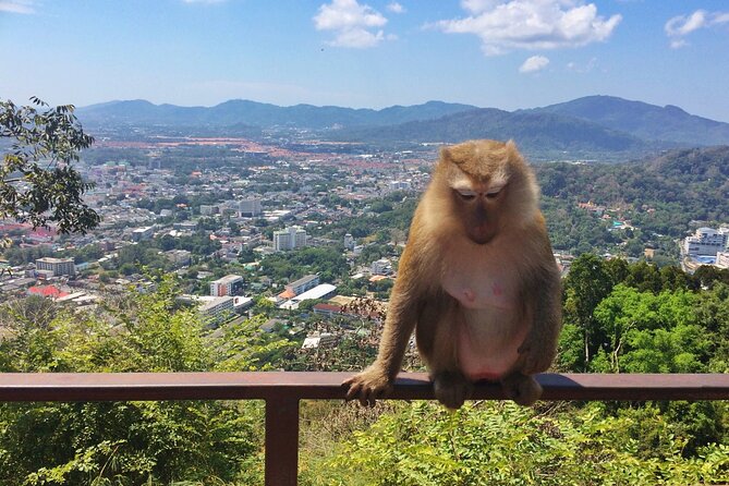 Phuket Sunset Tour : Phromthep Cape, Monkey Hills, Chillva Market - Common Questions