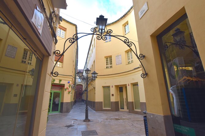 Picasso Roots Private Walking Tour in Central Malaga - Pricing