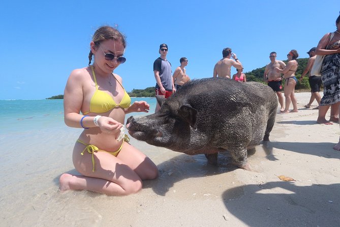 Pig Feeding, Kayaking, Snorkeling Trip at Pig Island By Speedboat From Koh Samui - Pig Island Experience
