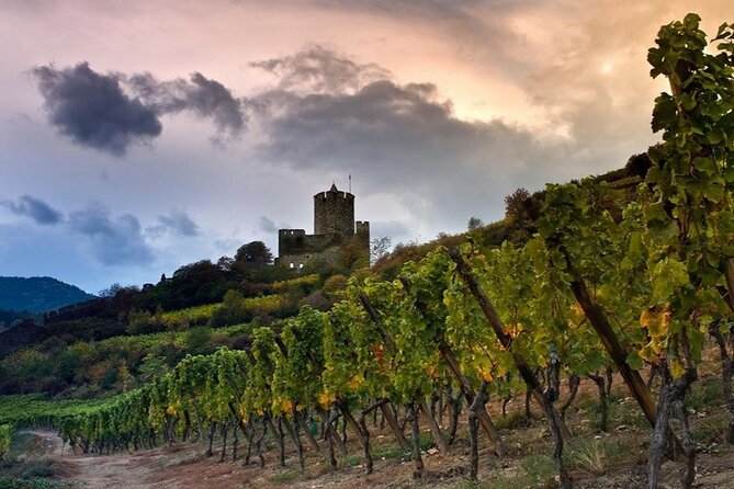 Pinot Noir & Pinot Wine Tour to Baden-Württemberg - Vineyard Highlights