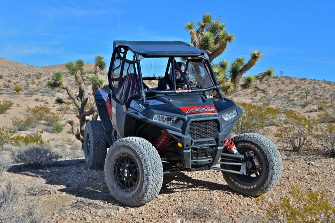 Pioneer Desert Adventure With Lunch at the Historic Pioneer Saloon! - Pricing and Provider Information