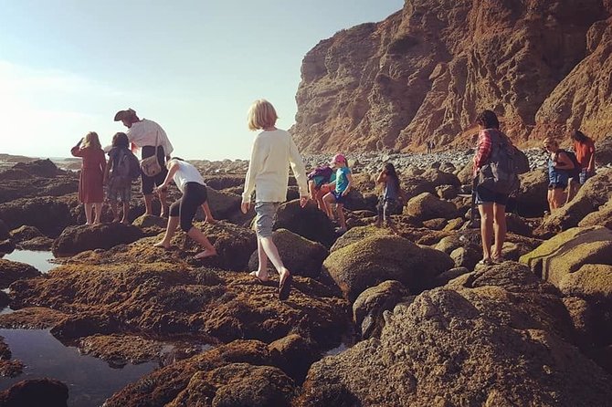 Pirate Sea Cave Tide Pool Walk at Dana Point - Reviews and Pricing