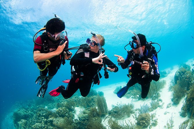 Playa Del Carmen: PADI Discover Scuba Diving With Instructor - Customer Reviews
