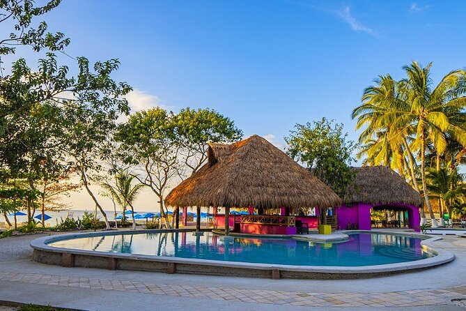 Playa Uvas Open Bar Exclusive Pass - Reviews