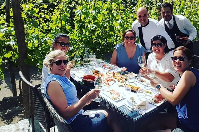 Pompei Archeological Site and Wine Tasting Experience - Common Questions