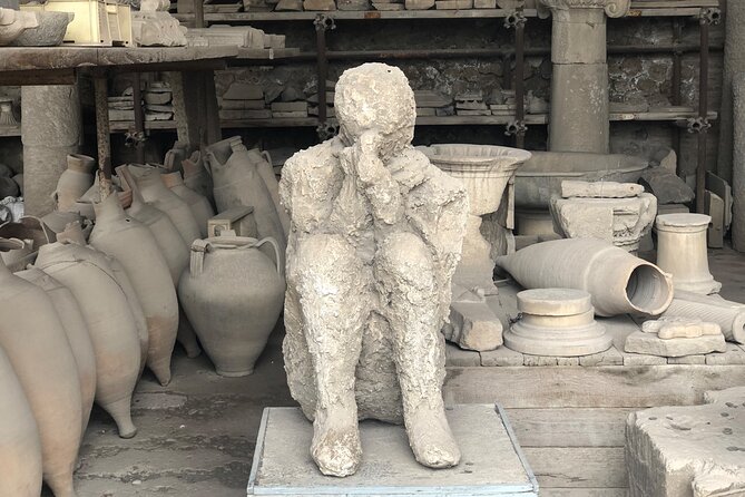 Pompeii and Herculaneum Private Tour With Pick up and Wine Tasting - Miscellaneous Information
