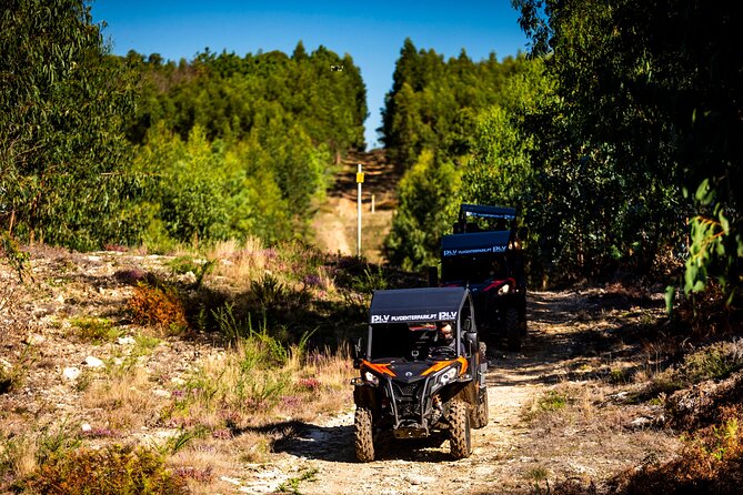 Ponte De Lima Guided Buggy Tour - Reviews