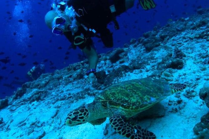 Pool Scuba Lesson and Shore Dive in Maui - Common Questions