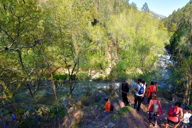 Porto Mountains Half-Day Small-Group Hiking Tour - Viator Help Center