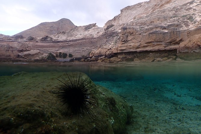 Porto Santo Snorkeling Tour - Traveler Support and Assistance