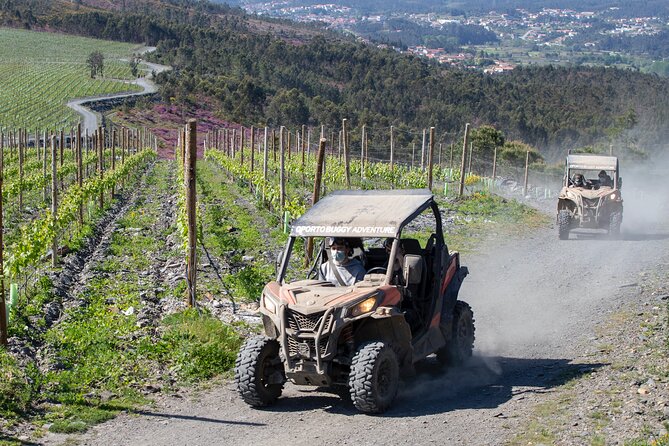 Portugal Extreme Tour By Oporto Buggy - Pricing and Availability