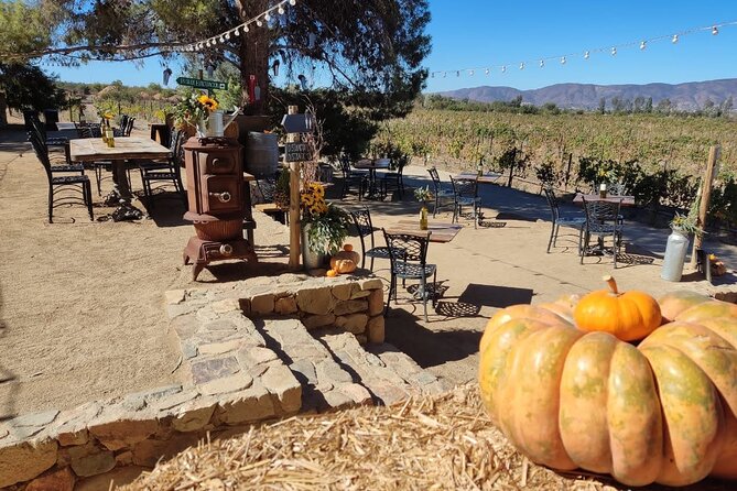 Premium Valle De Guadalupe Wine and Food Tour - Itinerary